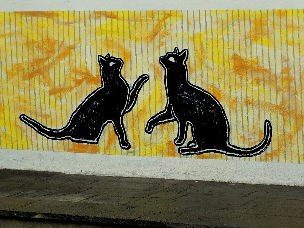 Azores Impressions - street art