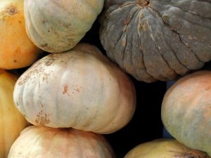 Azores Impressions - market goods