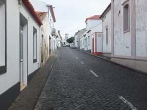 AzoresIslandTrek - DSCF9003.jpg