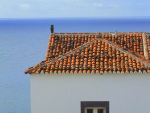 AzoresIslandTrek - DSCF9011.jpg