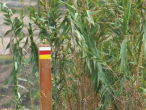AzoresIslandTrek - DSCF9014.jpg
