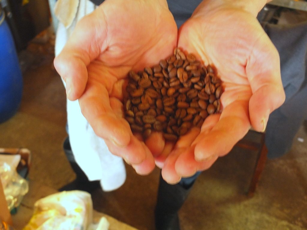 True North Brewing Company coffee