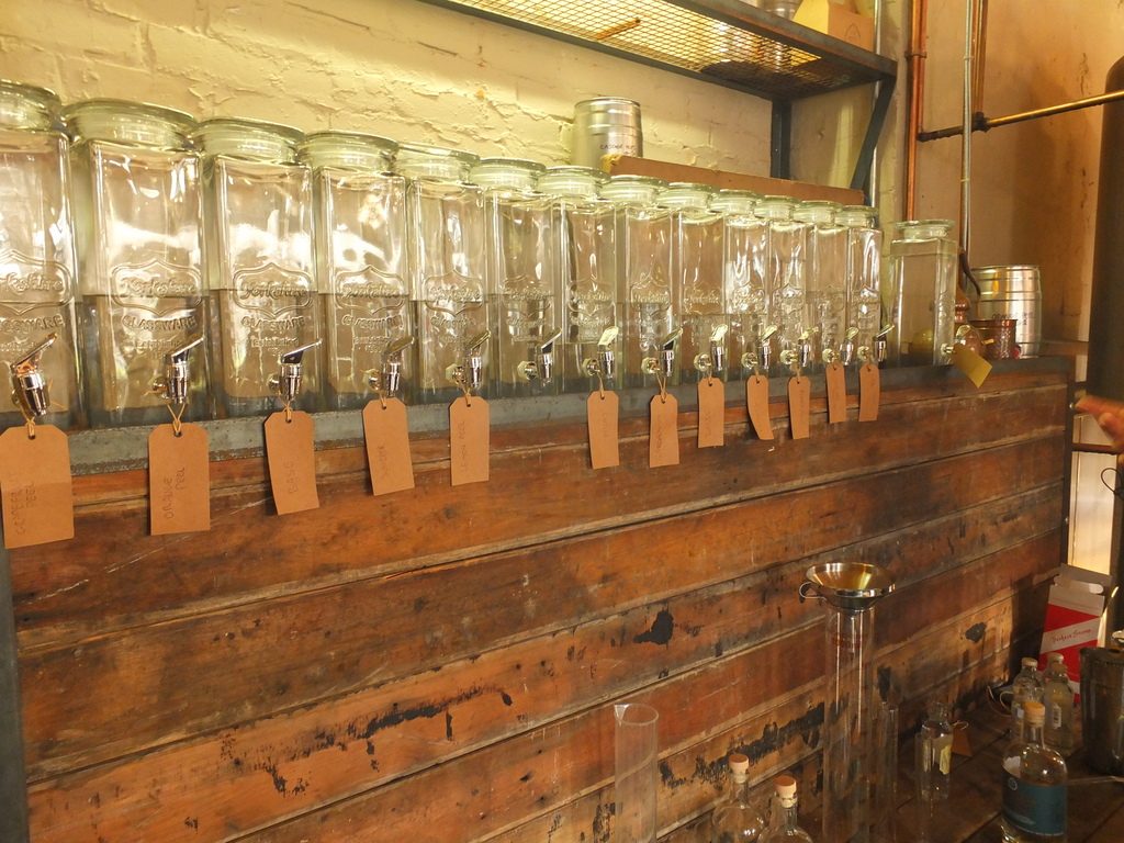 True North Brewing Company infused gins