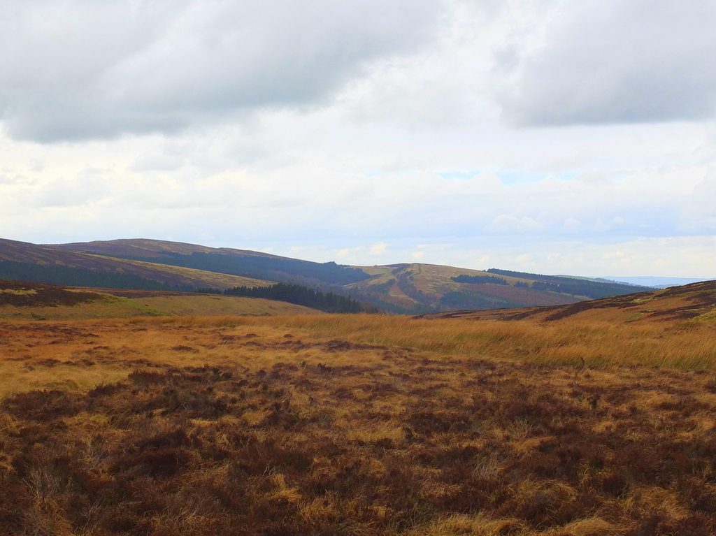 Buxton Moor MoorWalk - DSCF2640.jpg