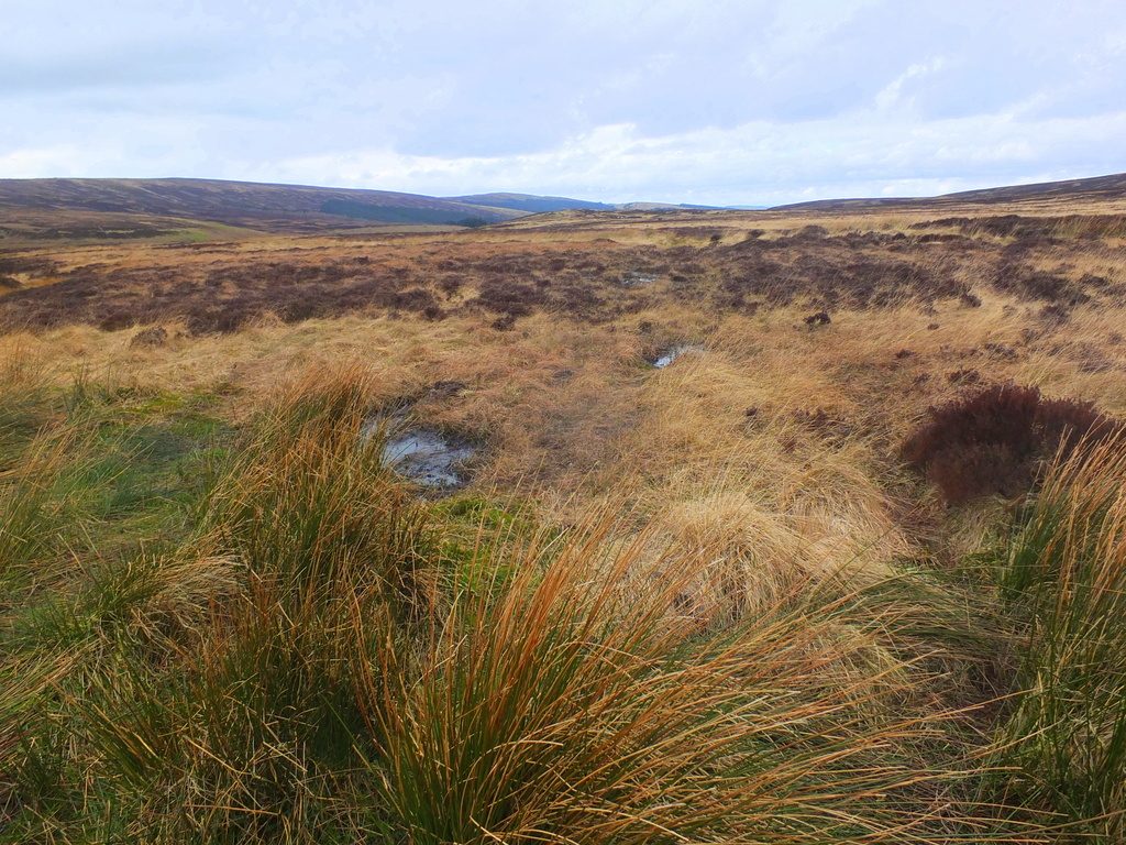 Buxton Moor MoorWalk - DSCF2641.jpg