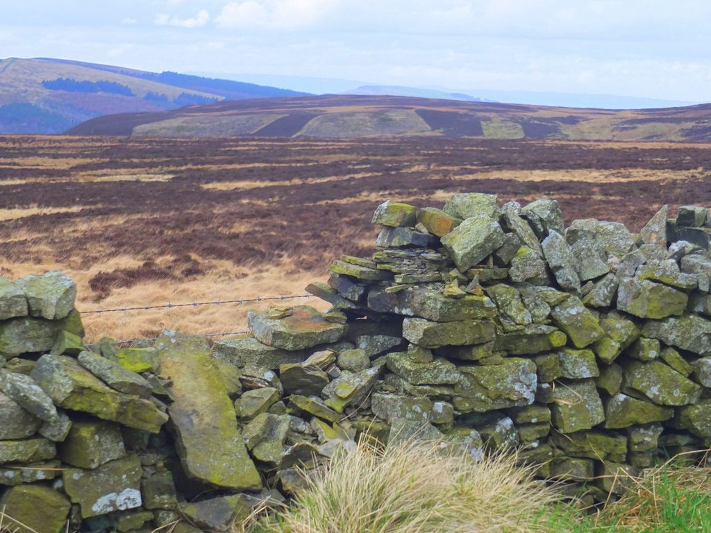 Buxton Moor MoorWalk - DSCF2643.jpg