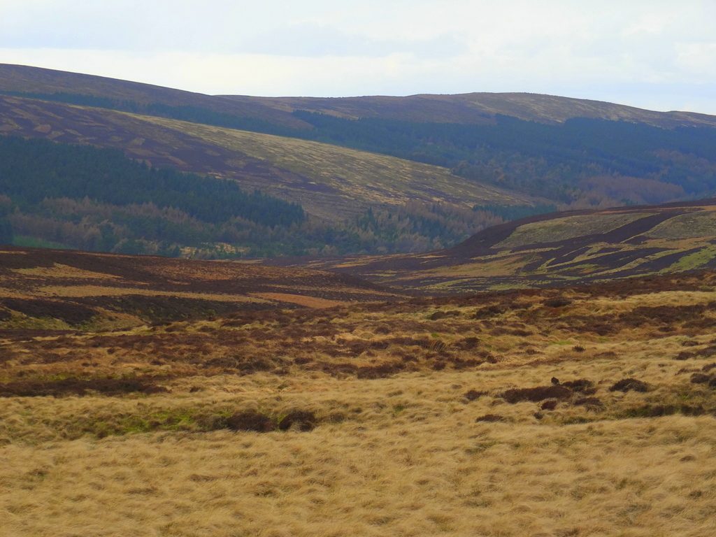 Buxton Moor MoorWalk - DSCF2647.jpg