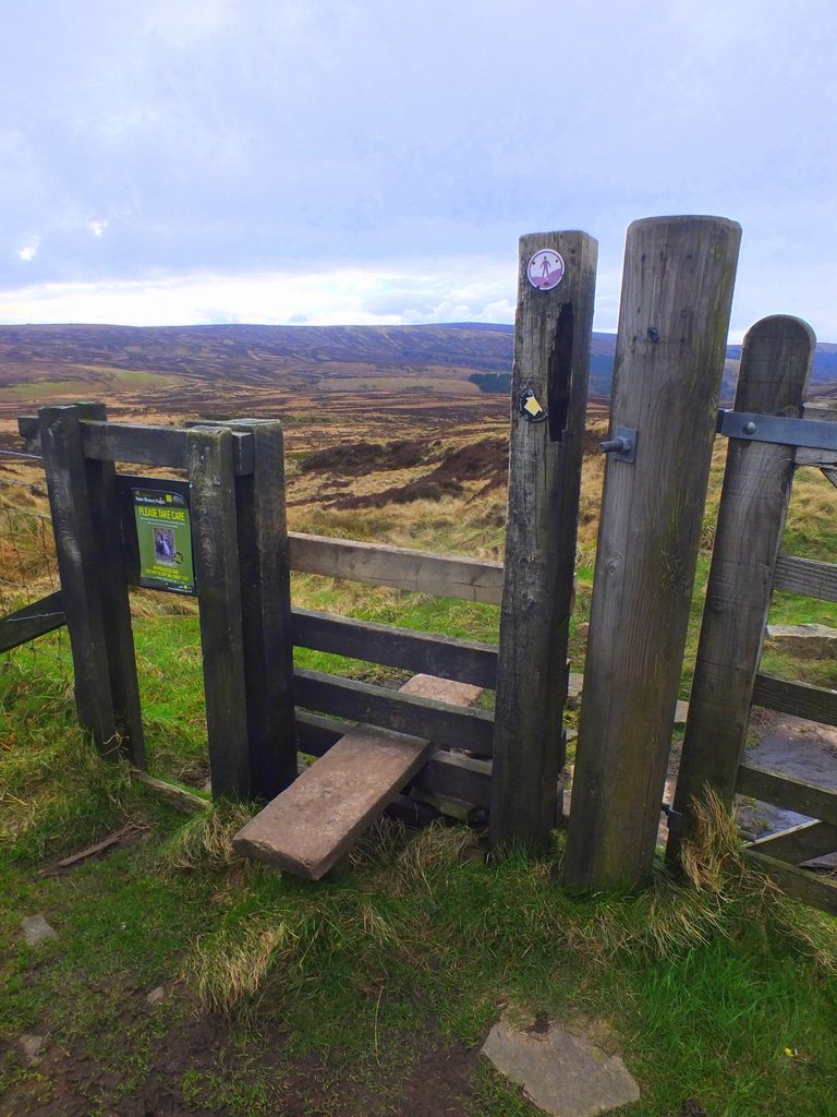 stile MoorWalk - DSCF2649.jpg