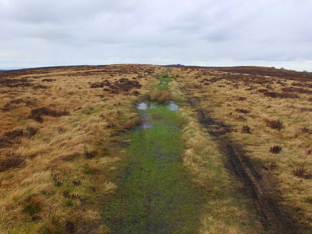 Buxton Moor MoorWalk - DSCF2650.jpg