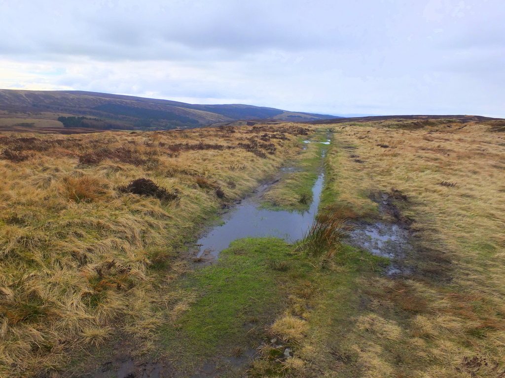Buxton Moor MoorWalk - DSCF2652.jpg