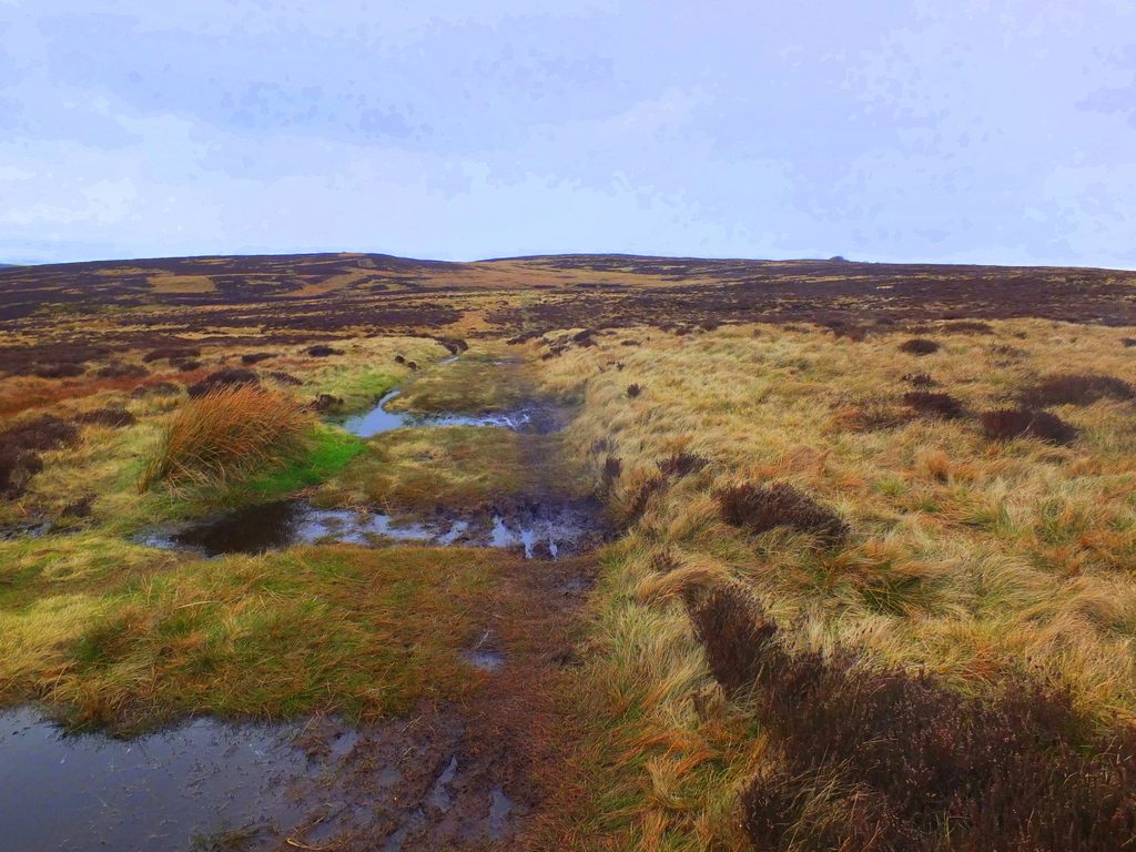Buxton Moor MoorWalk - DSCF2654.jpg
