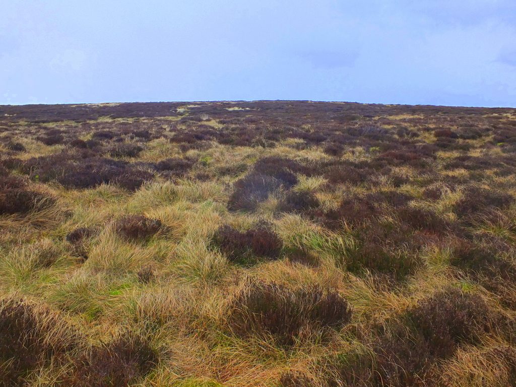 Buxton Moor MoorWalk - DSCF2656.jpg