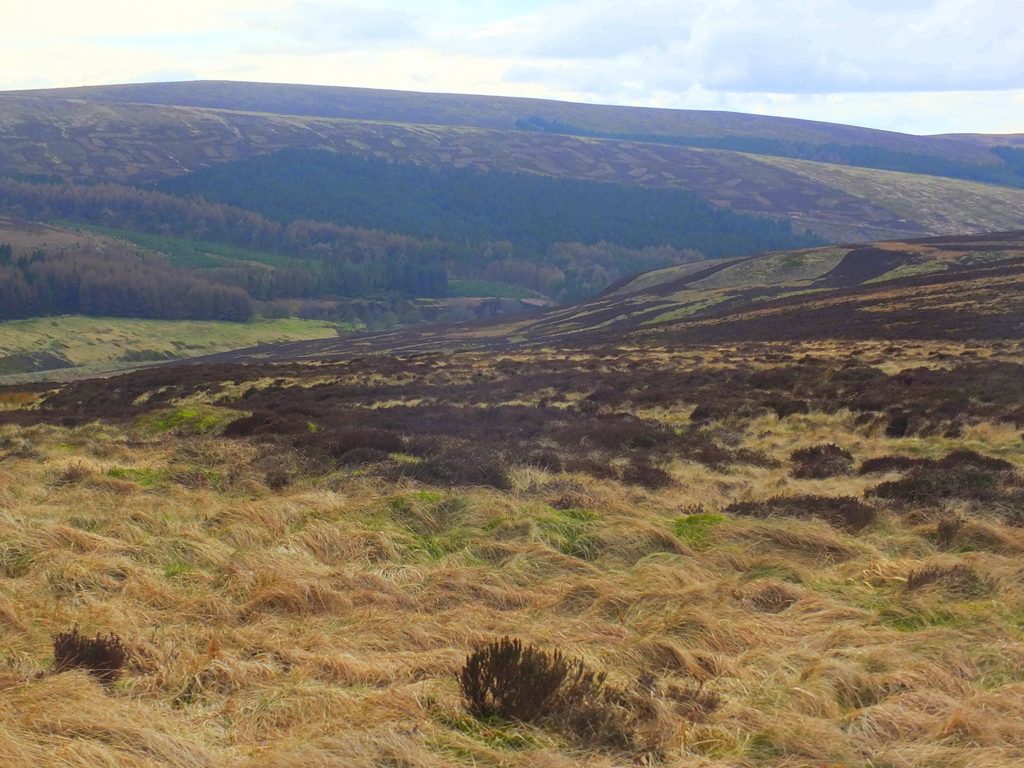 Buxton Moor - Wye Valley MoorWalk - DSCF2657.jpg