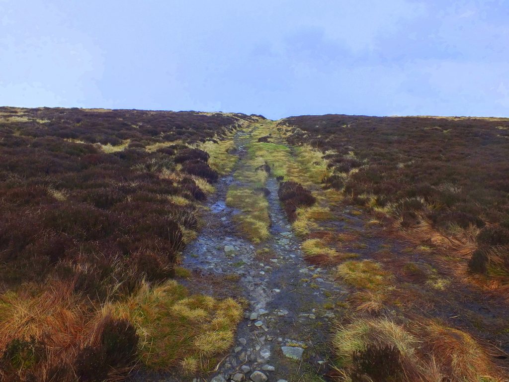 Old Buxton Road MoorWalk - DSCF2658.jpg