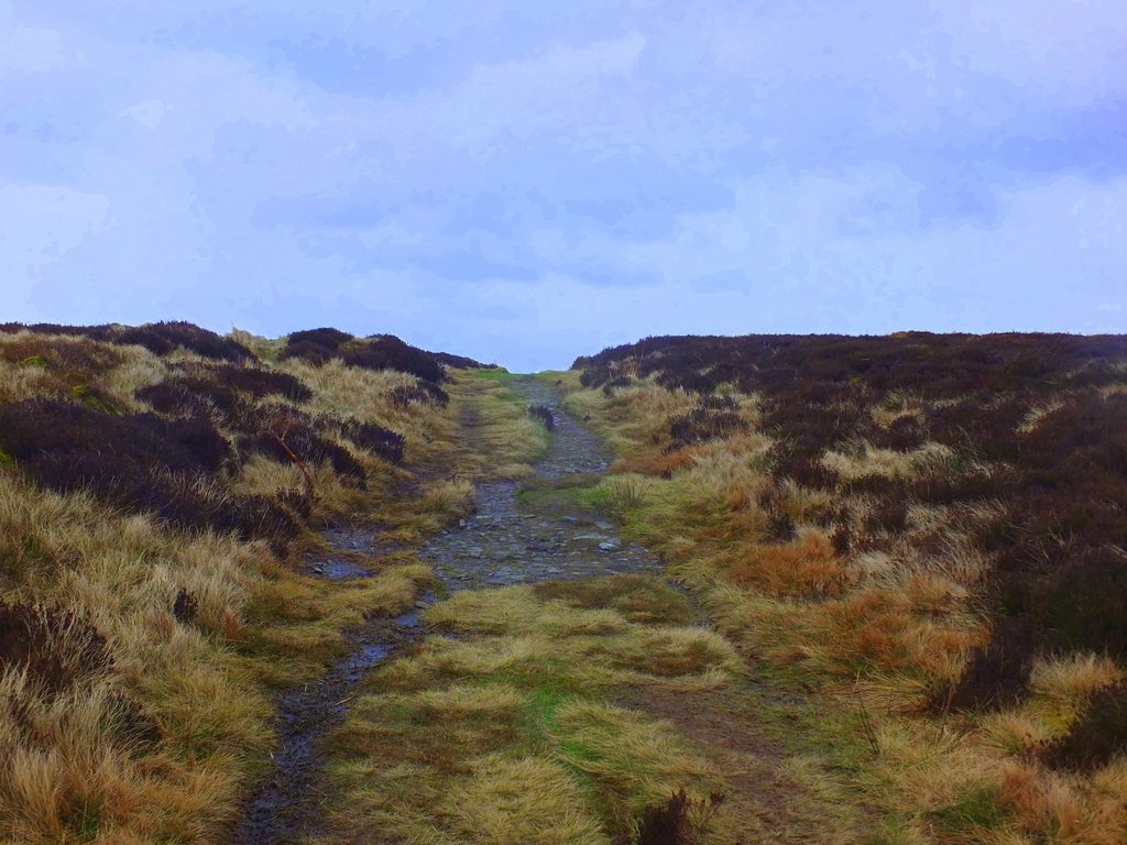 Old Buxton Road MoorWalk - DSCF2659.jpg