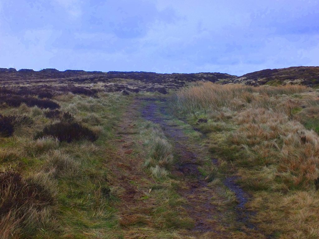 Buxton Moor MoorWalk - DSCF2660.jpg