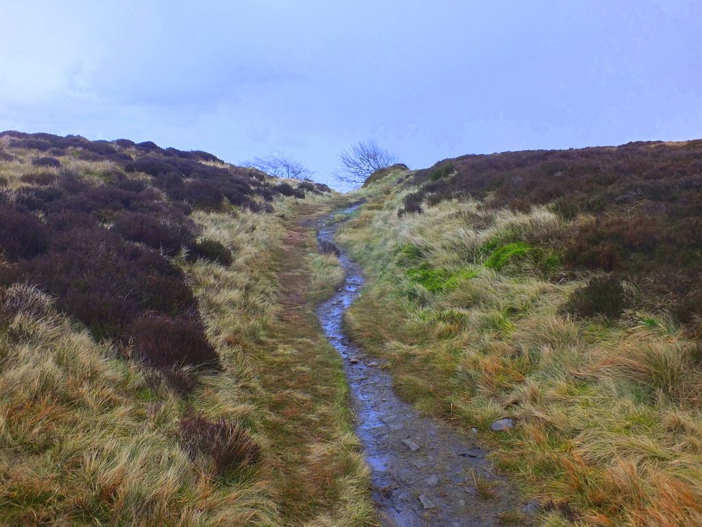 pathway MoorWalk - DSCF2661.jpg