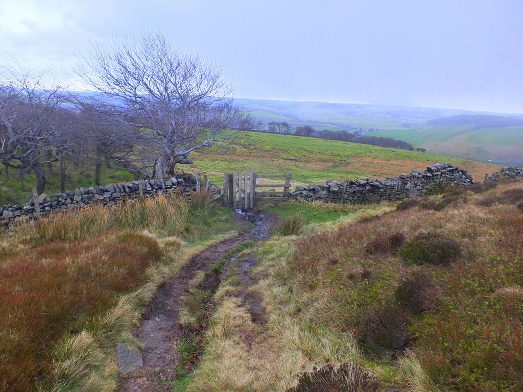 descending into town MoorWalk - DSCF2663.jpg