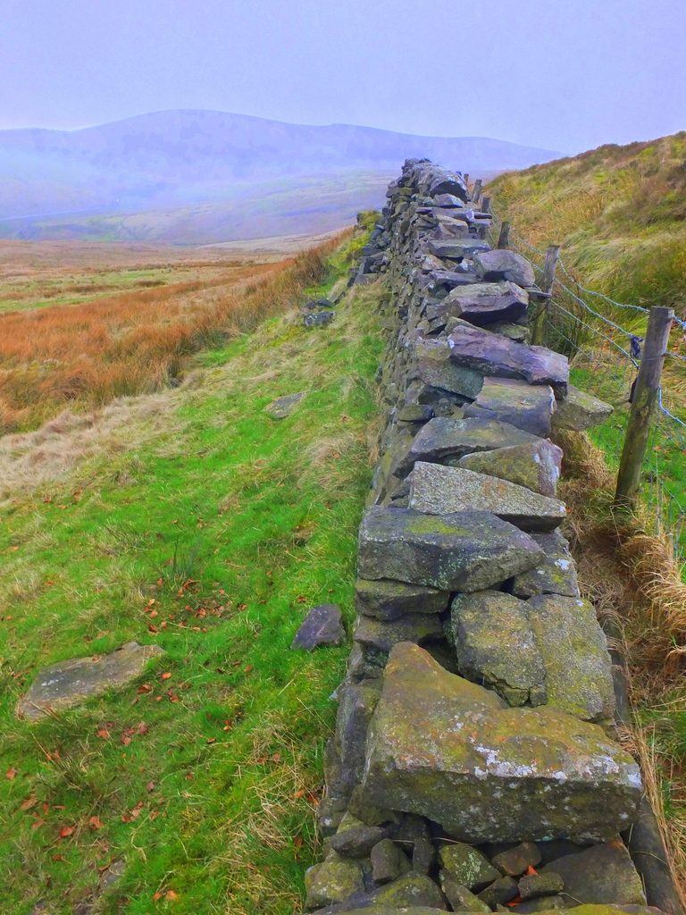 old wall MoorWalk - DSCF2664.jpg