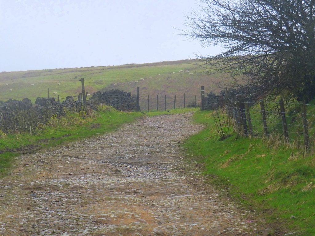 Old Buxton Road MoorWalk - DSCF2672.jpg