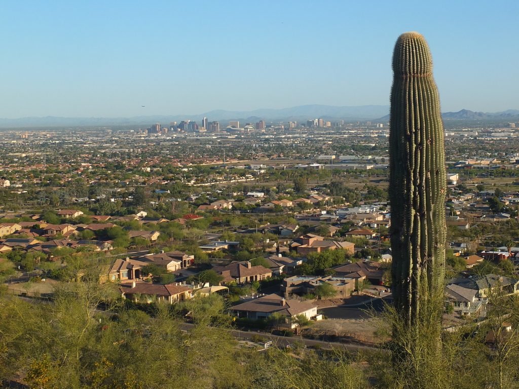 CactusLeague - DSCF7321.jpg