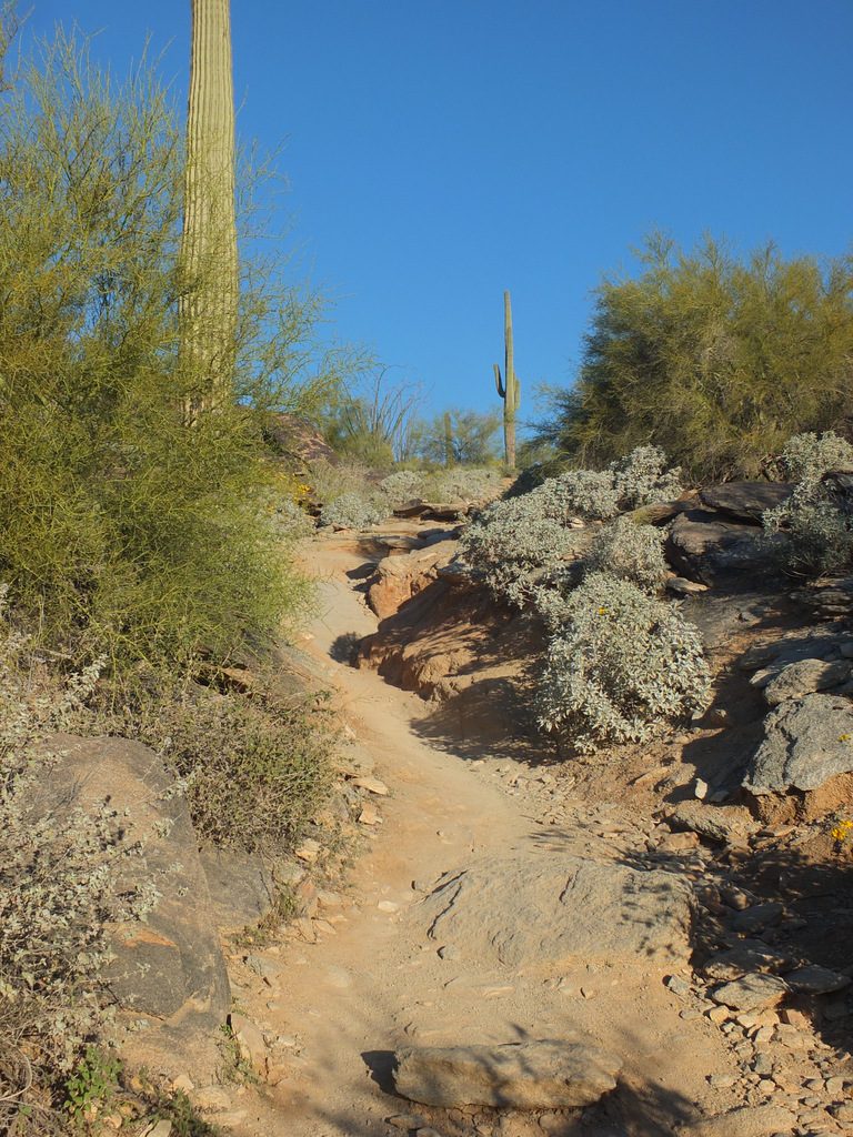 CactusLeague - DSCF7336.jpg
