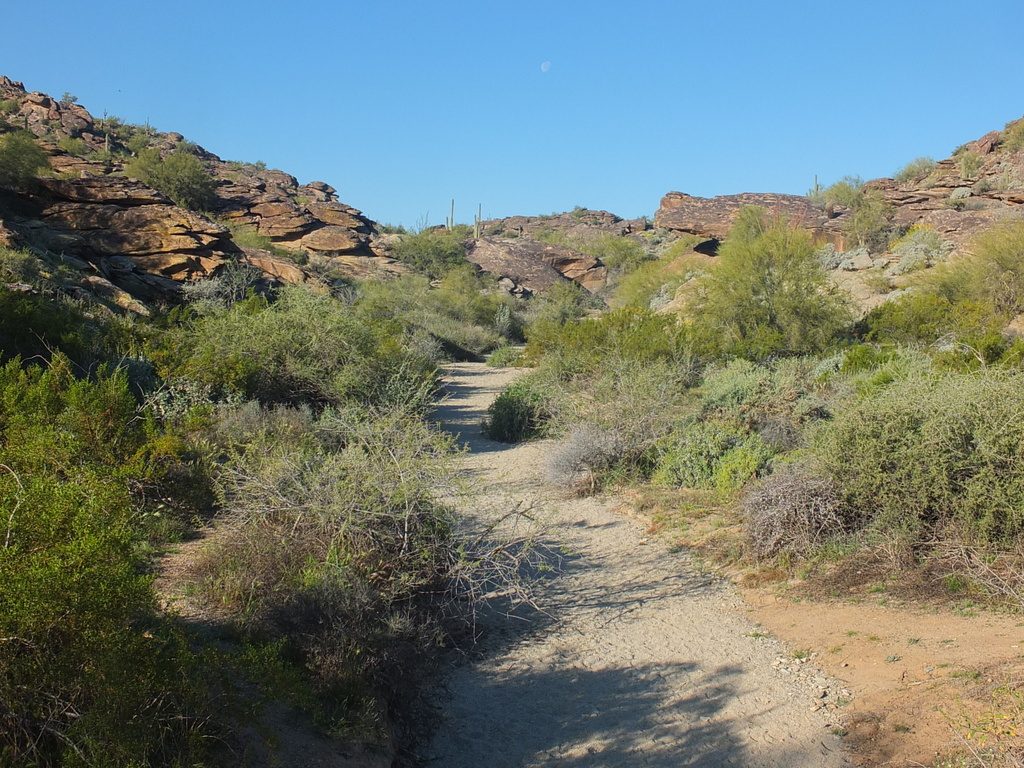 CactusLeague - DSCF7350.jpg
