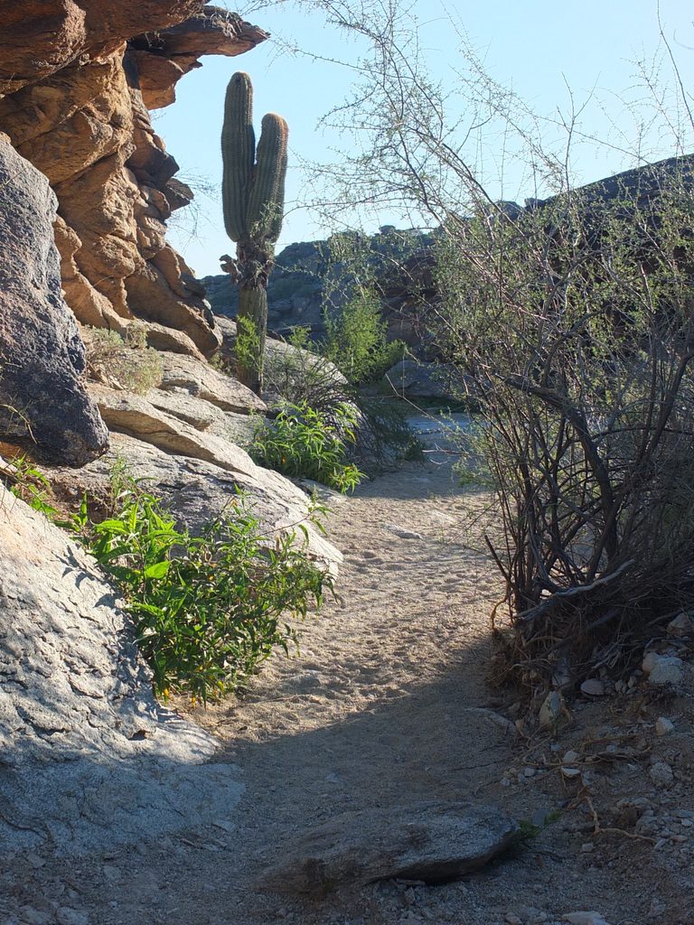 CactusLeague - DSCF7351.jpg