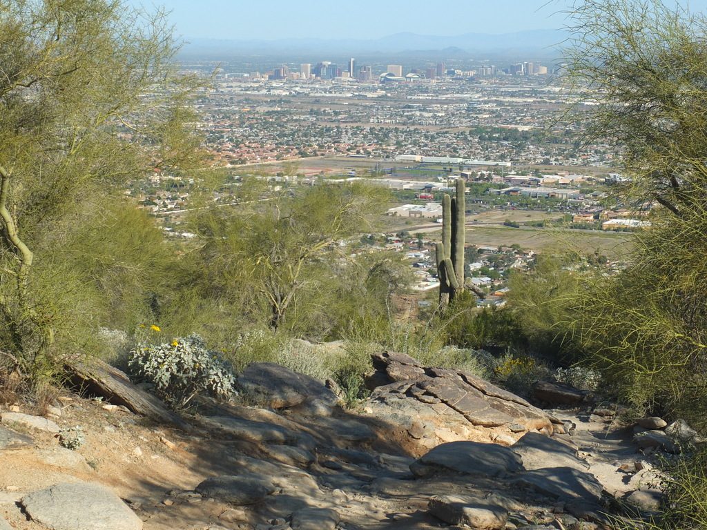 CactusLeague - DSCF7366.jpg