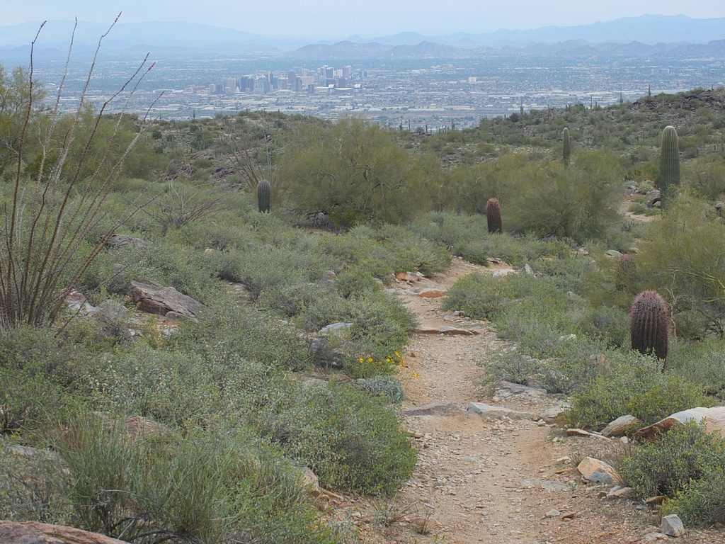 CactusLeague - DSCF7413.jpg