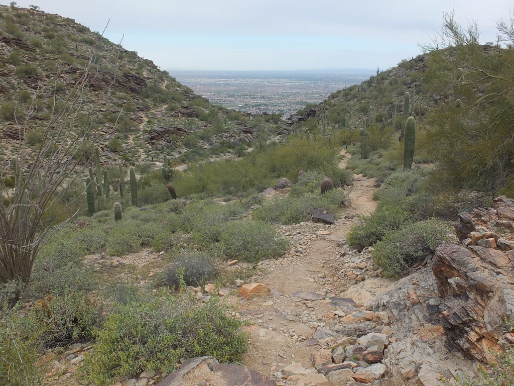 CactusLeague - DSCF7420.jpg