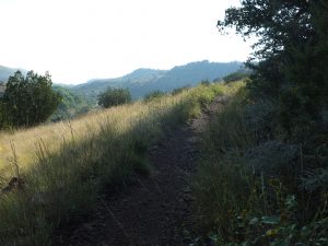 DavisMountains - DSCF3775.jpg