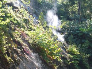steam from hillside