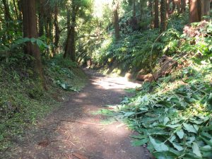 trail