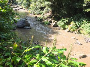 stream above Cascata do Salto do Cabrito