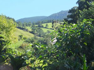 view from the trail