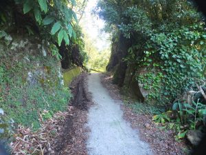 trail