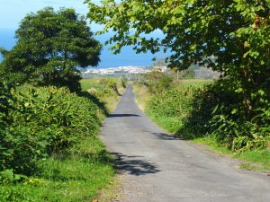 view to the sea