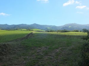 view from the trail
