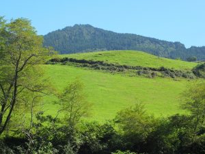 view from the trail