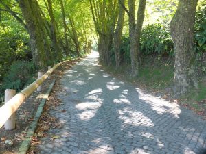 cobblestone