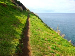 trail