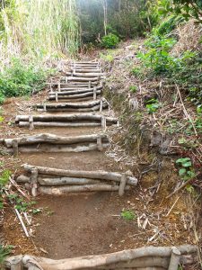steps climbing Monte da Guia