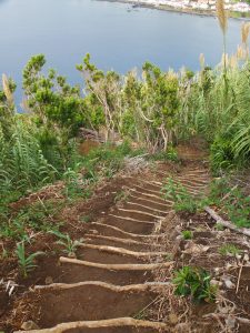 steps descending Monte da Guia