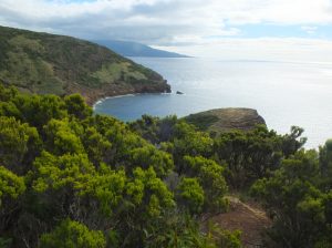 view from top of Monte da Guia