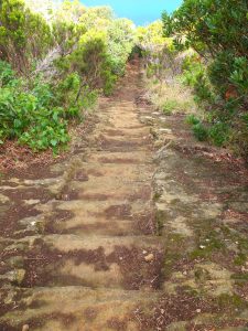 steps