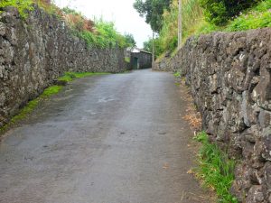 country road