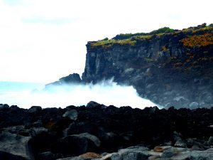 Pounding Surf