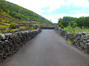 Narrow Road