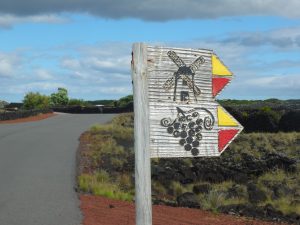 trail marker